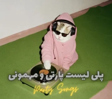 پلی لیست پارتی