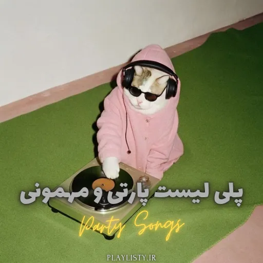 پلی لیست پارتی